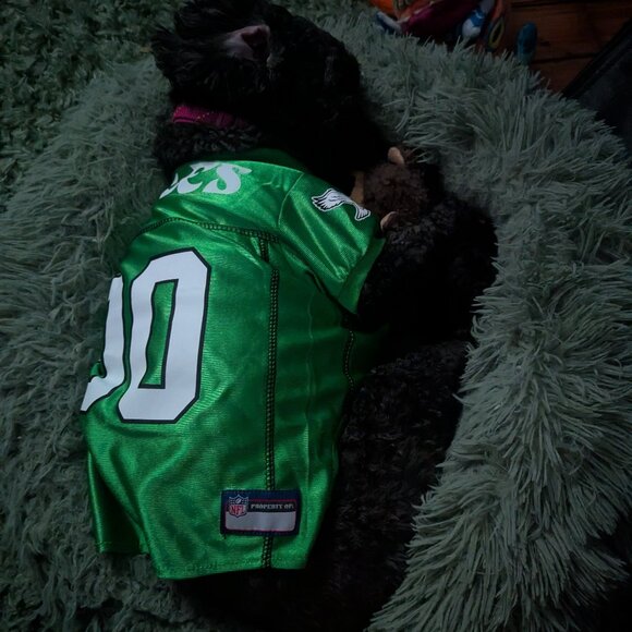 Eagles Pet Jersey - Picture 6 of 6